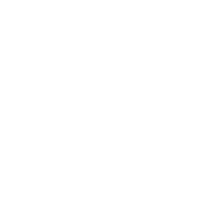 2 Extensive Network 2 Extensive Network